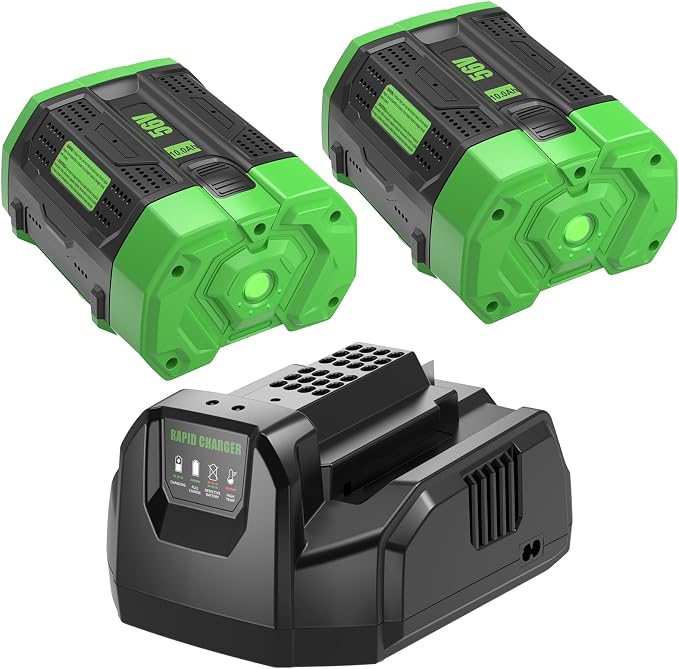 2 Pack 10000mAh Ultra High Capacity Lithium Battery Replacement for EGO 56V Battery and CH2100 Charger Compatible with EGO 56 Volt BA2800 BA2800T BA4200 BA4200T BA1400 BA1400T BA5600T Cordless Tool