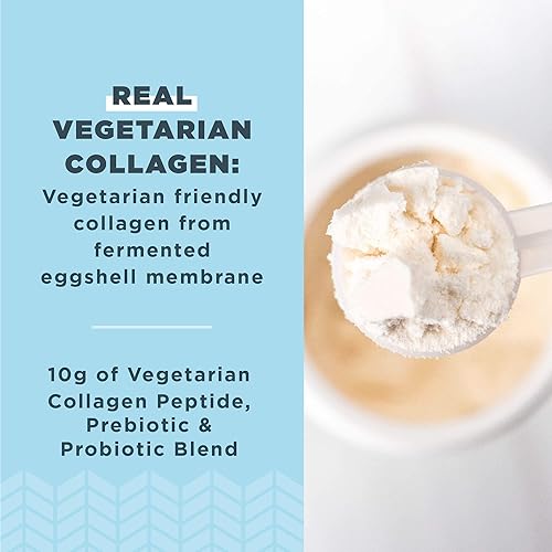 Miniatura 2 de Ancient Nutrition Péptidos de colágeno vegetarianos, péptidos de colágeno en polvo, polvo de colágeno con sabor natural, prebióticos y probióticos,