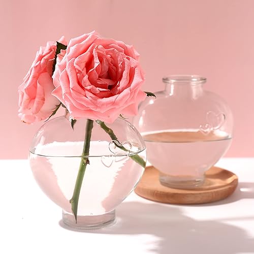 Miniatura 6 de Magic Season Botellas de vidrio decorativas con tapones de corcho (botellas en forma de corazón de 12 fl oz2 piezas)