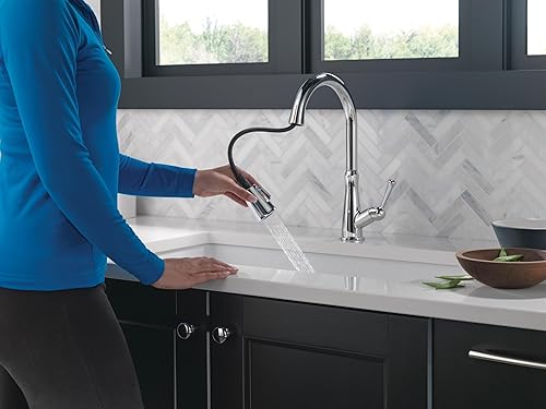 Miniatura 10 de Delta Faucet Westville 9110-AR-DST - Grifo de cocina de níquel cepillado, grifo de cocina con rociador extraíble, grifo para fregadero de cocina,