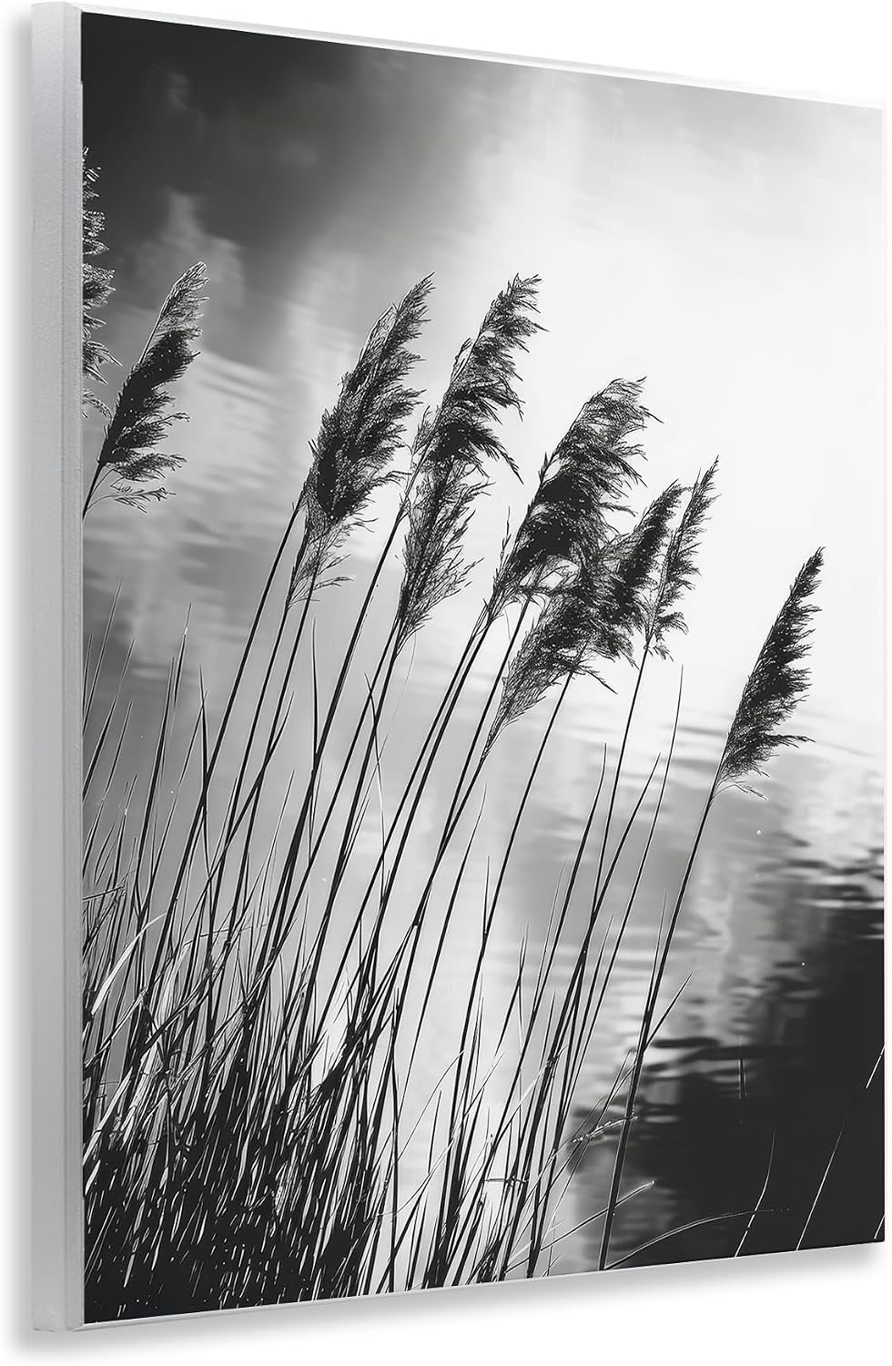 Stupell Industries 'Stark Contrast Wheat'| Wall Plaque Art | Stupell Industries | 11 x 14 Inches, Easy to Hang and Sturdy, Made in USA, by Petal Prints Design