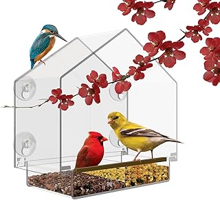 Window Bird Feeder - Large Bird House for Outside. Removable Sliding Tray with Drain Holes. Best for Wild Birds. Clear Acrylic. Easy to Clean. Great Gift. for All Weather
