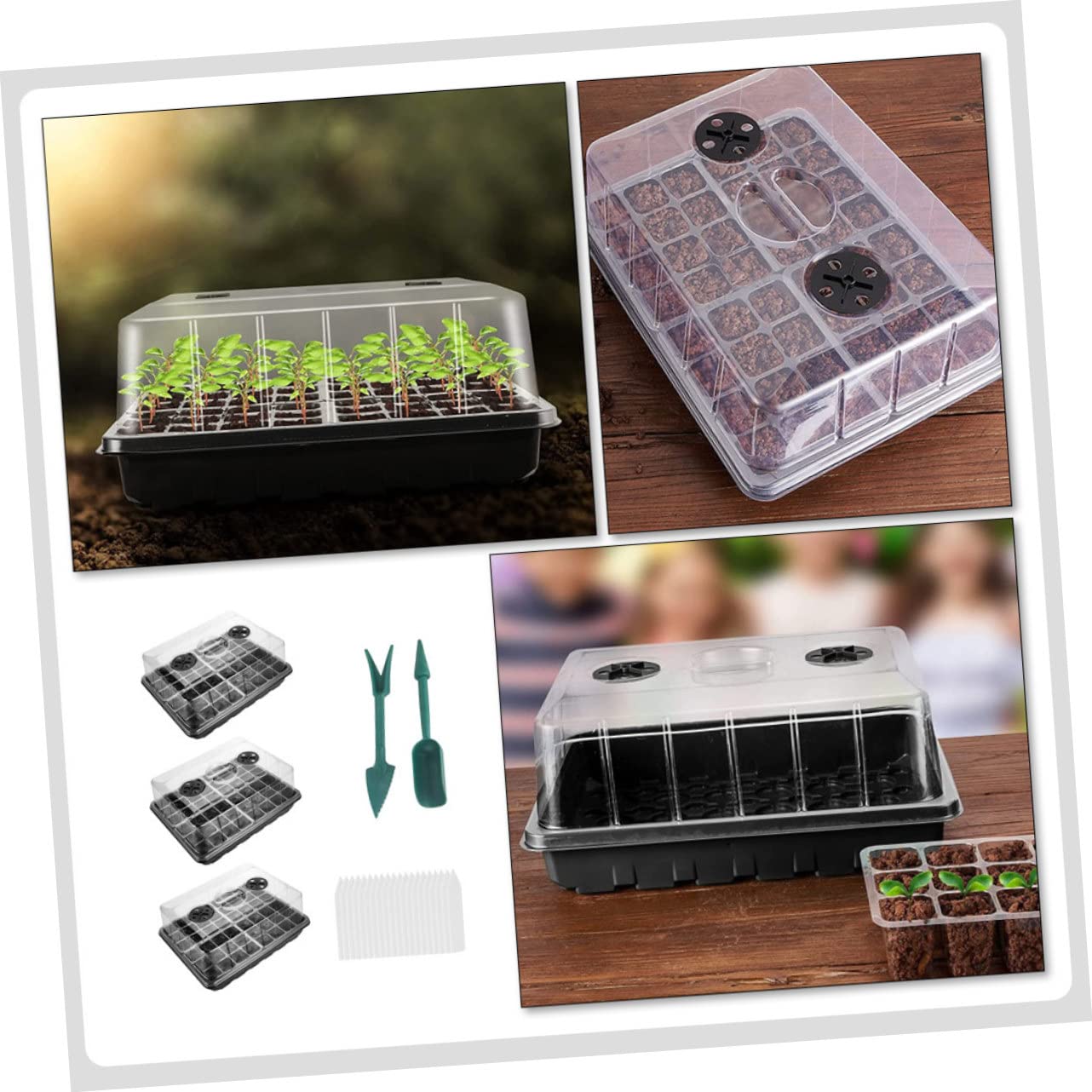 BESPORTBLE Plateau de Pépinière PP 1 Set, Boîte de Semis Trous | Bavure, Conservation Thermique, Toucher Confortable, pour Radis et Herbe de Blé, Usage Serrage