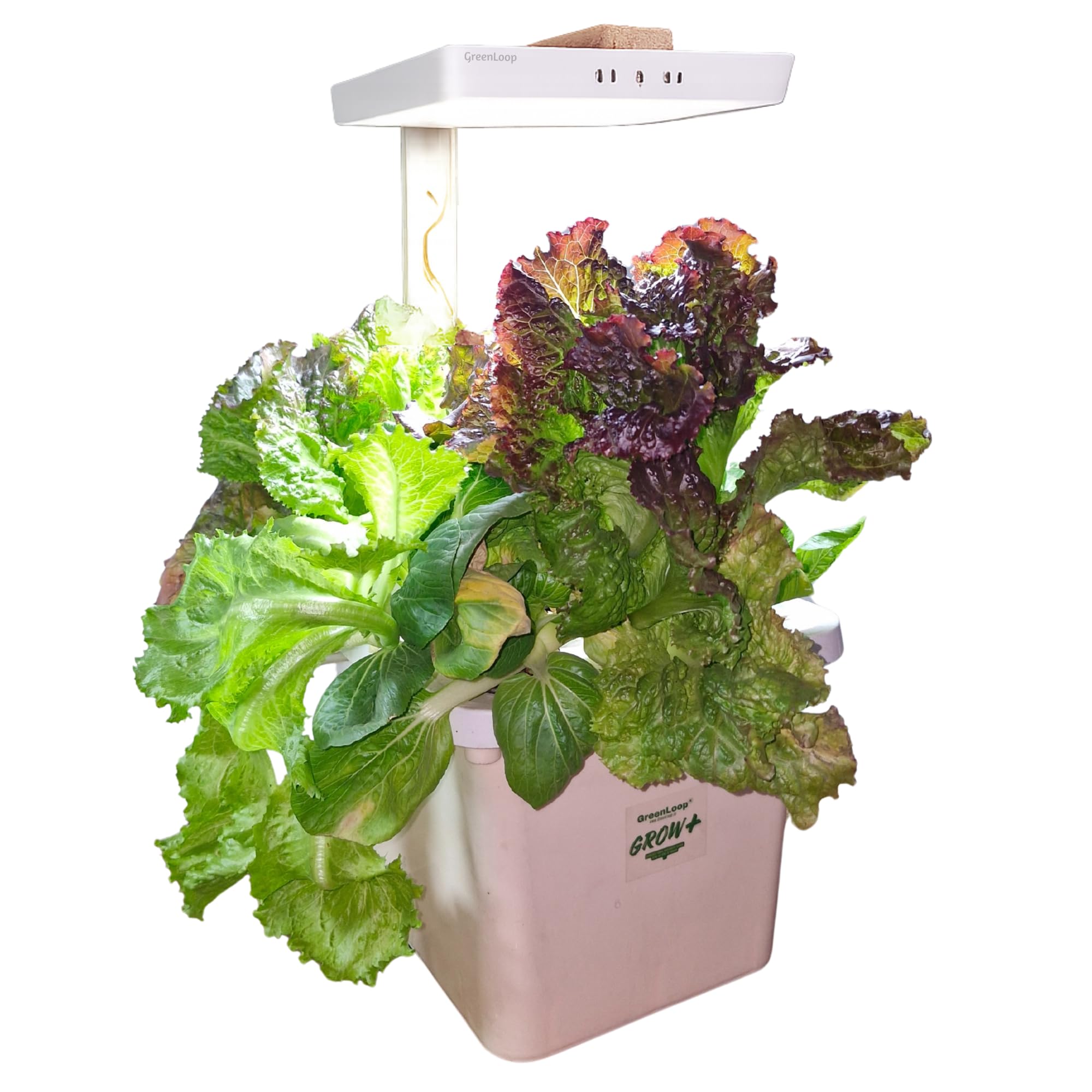 GreenLoop Grow+, Indoor Hydroponic System to Grow Veggies & Flowers, Very Easy, Fast, Your Indoor Garden, 1 Complete Set