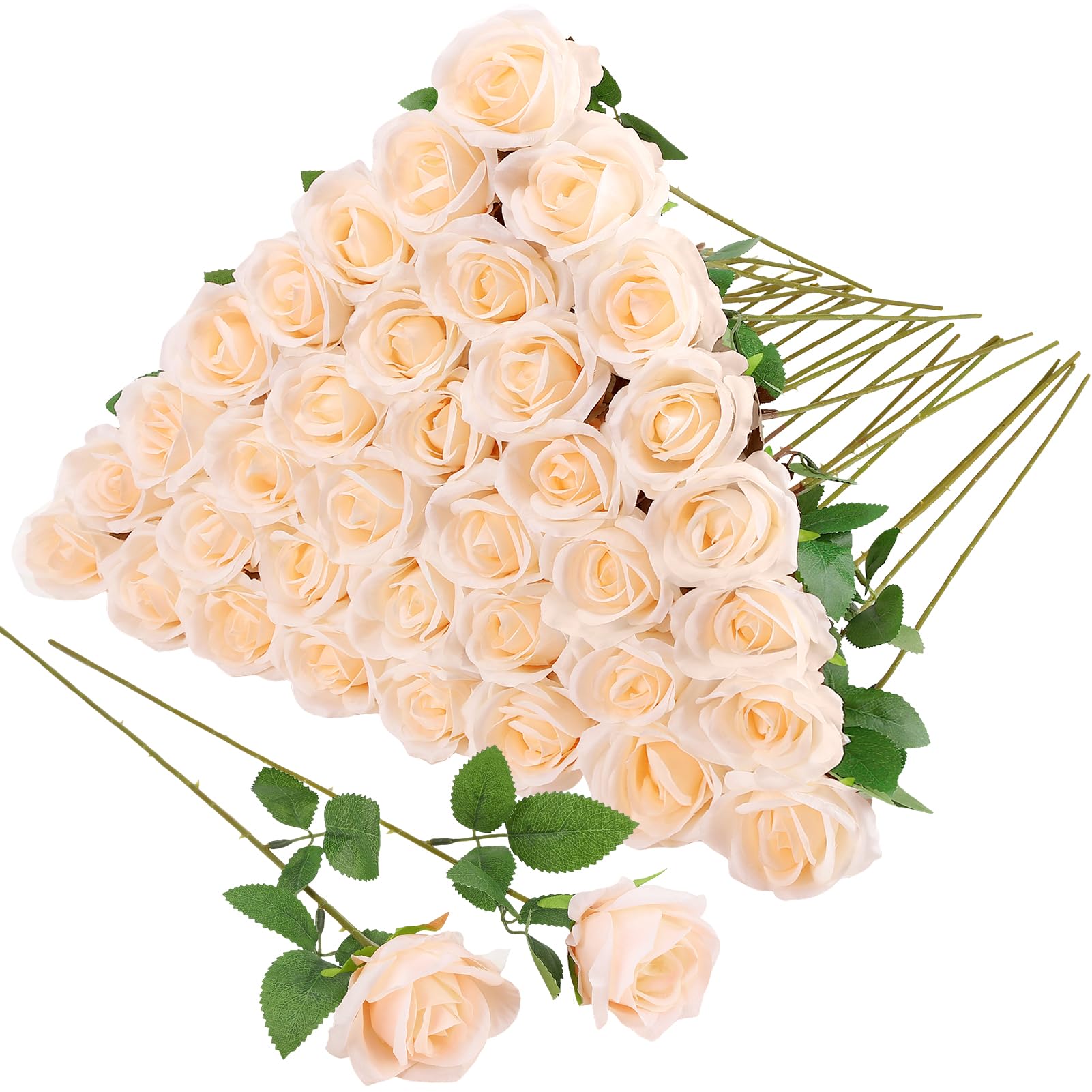 Hoemwarm 36 Champagne Roses