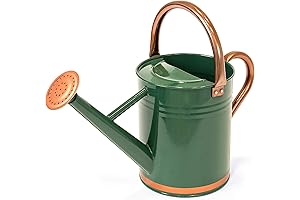 Best Choice Products 1-Gallon Lightweight Galvanized Steel Gardening Watering Can