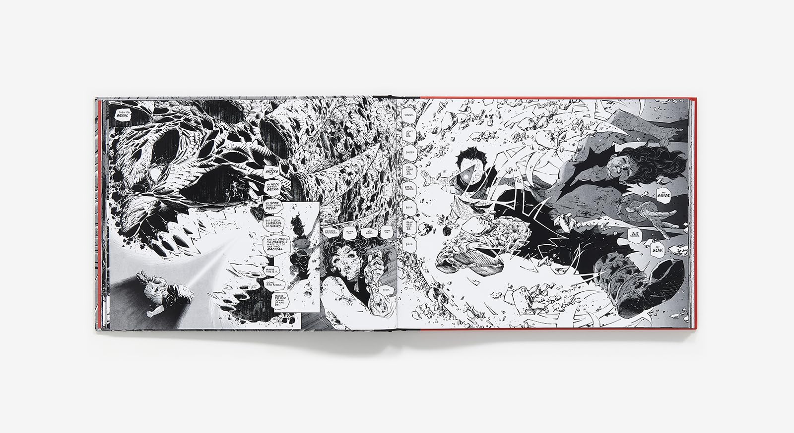 Frank Miller's Ronin Rising Collector's Edition