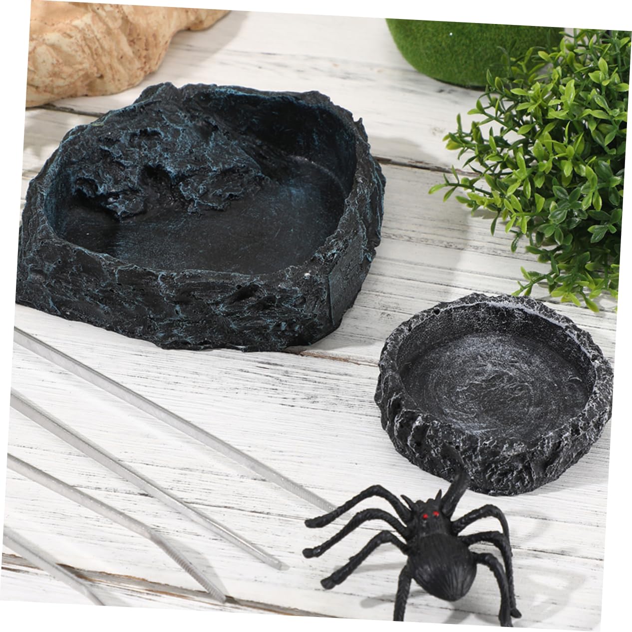 1set Ciotole per Rettili con Pinzette Ciotola per Cibo Drago Barbuto e Abbeveratoio per Tartarughe Accessori per Terrario e Bowls