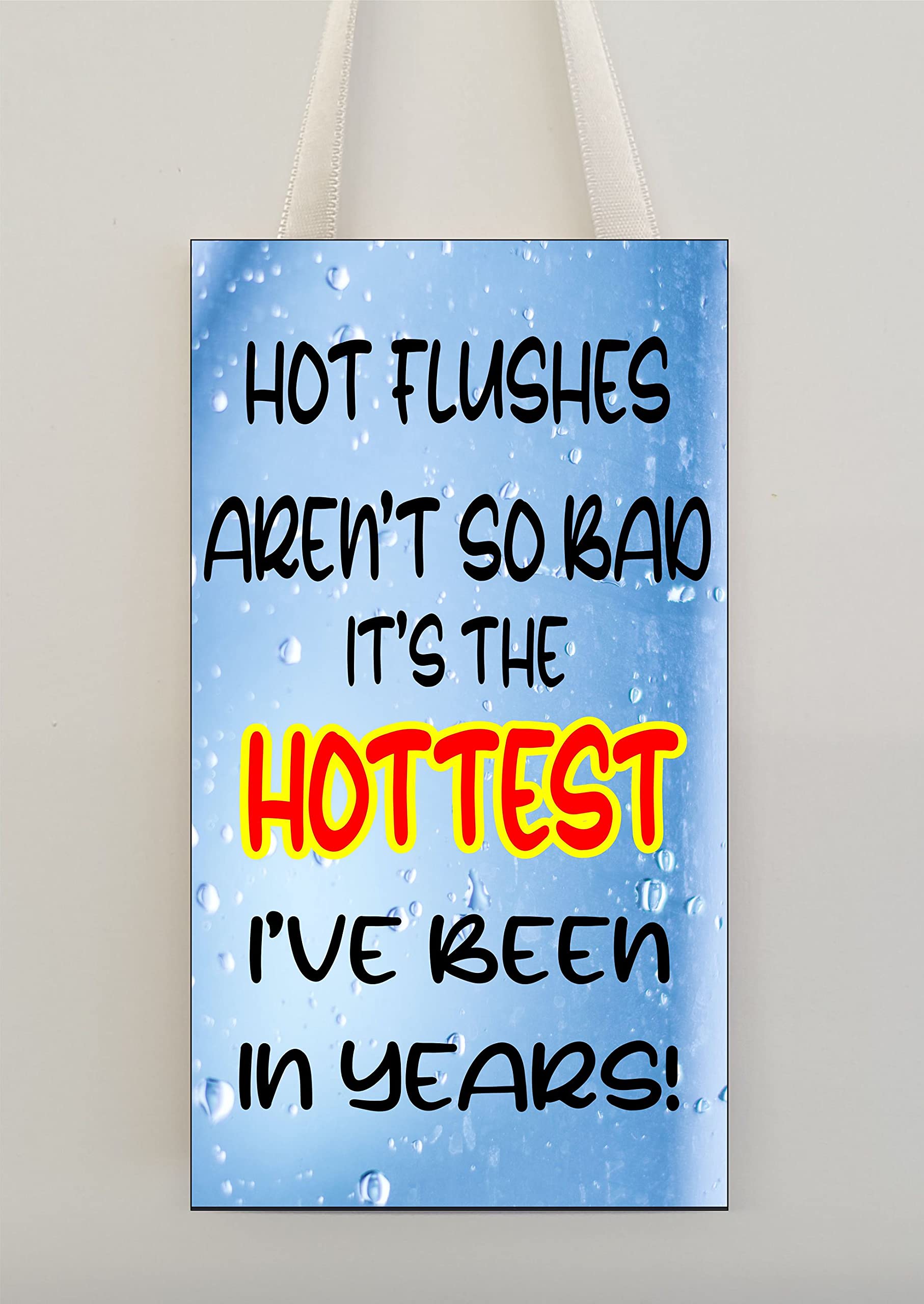 Decalarama Funny Menopause Plaque – Hot Flushes Aren't So Bad, It's The Hottest I've Been In Years - Gift Friendship – Funny Amusing Novelty Quote - Present Gift For Birthday Christmas