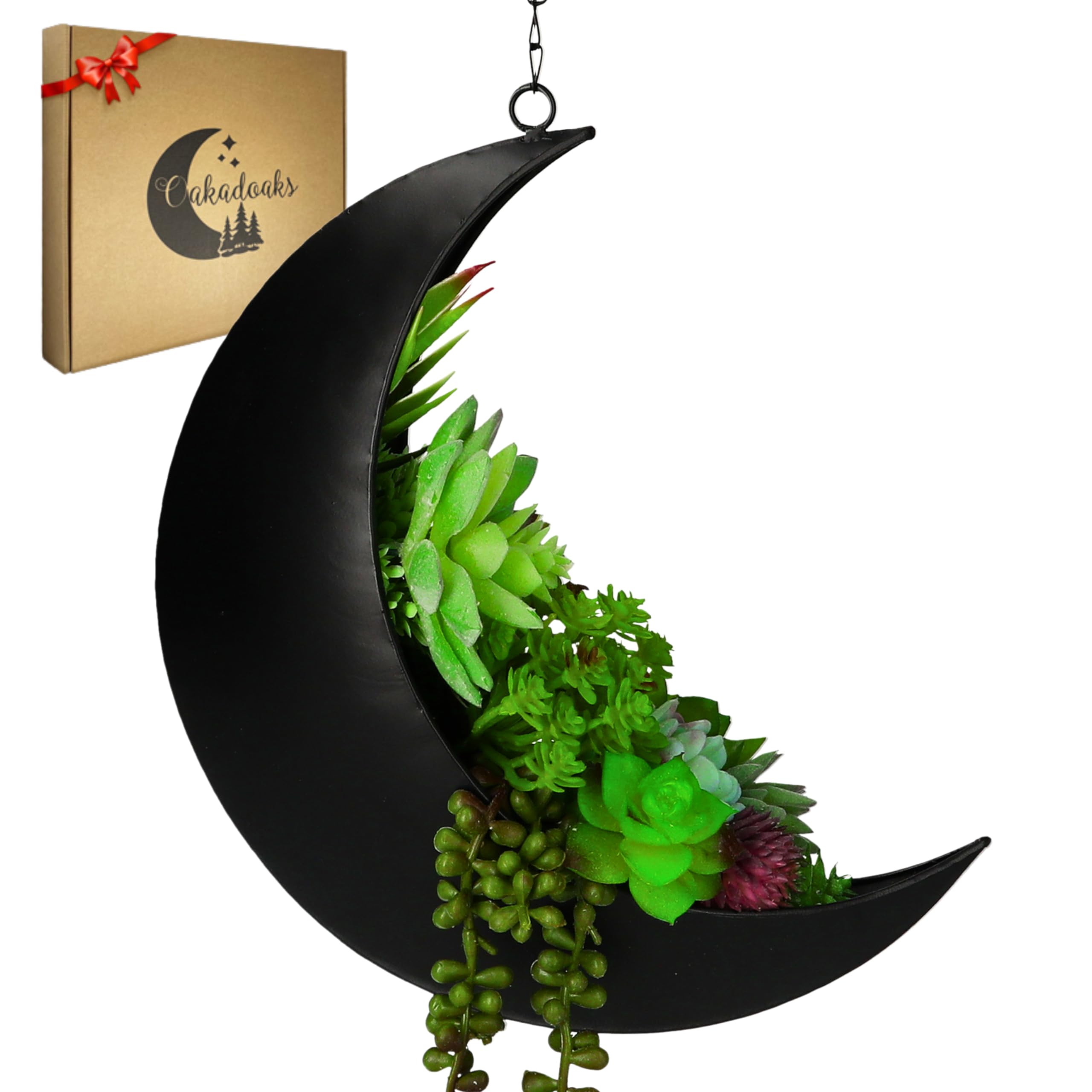 DAISAK MOON 花瓶　BEAMS Hanging Moon Planter for Moon Room Decor - Great for Succulents