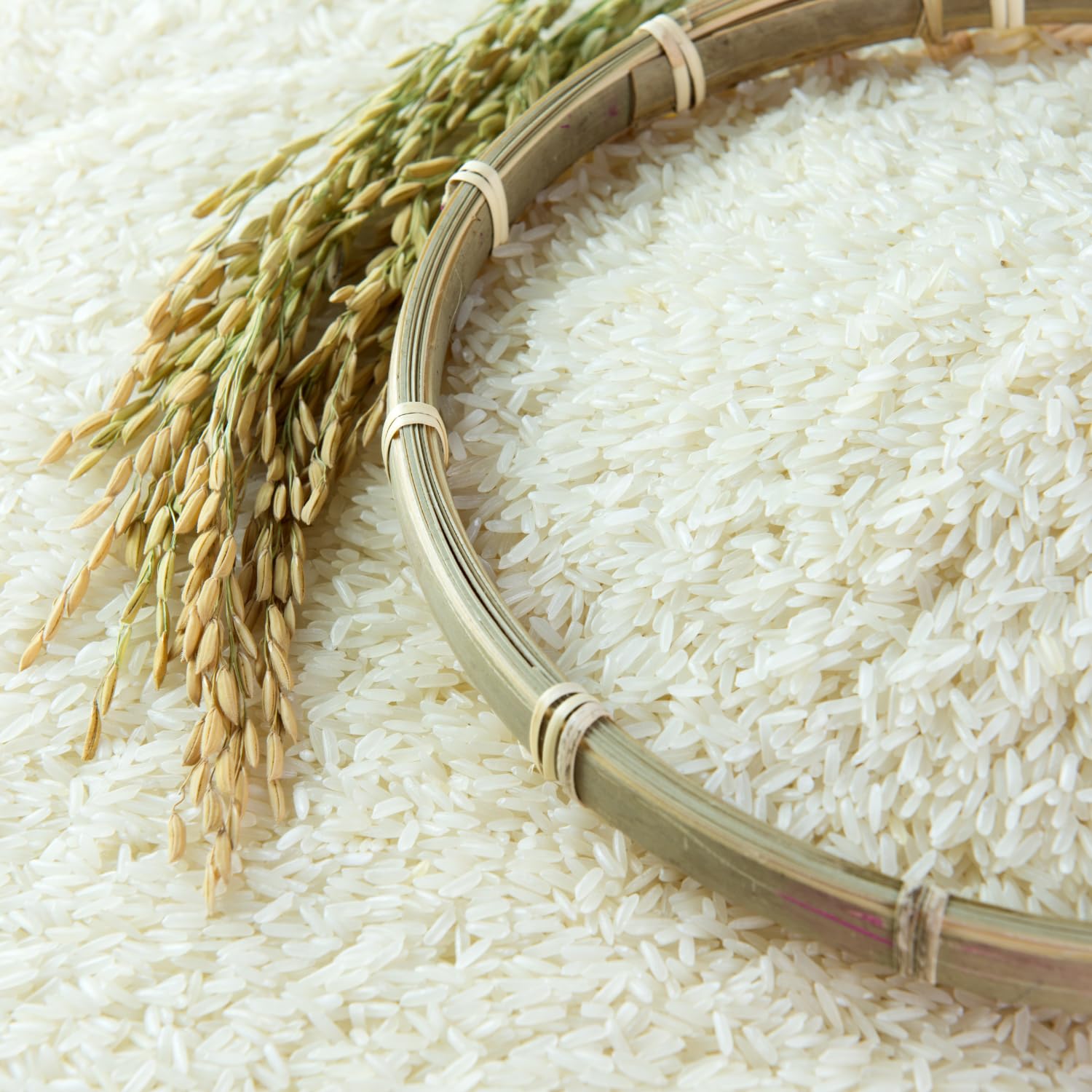 5-STAR - Arroz de grano largo USA Style - 1 X 20 KG