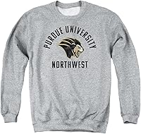 Vista 9 de LOGOVISION Colección oficial de sudaderas de cuello redondo para adultos con logotipo desgastado grande