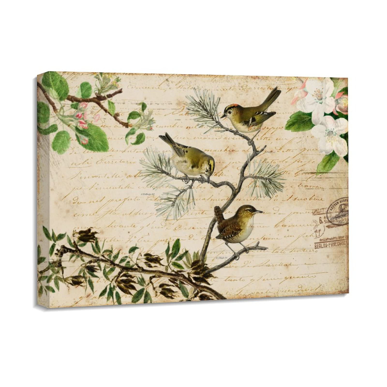 Art mural oiseaux français fleurs impression sur toile déco maison 40x50 cm