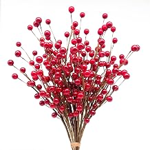 Mauts 10 Pcs Artificial Holly Berries, Decor for Christmas decoration Christmas Tree Decorations Flower Wreath DIY Craft, suitable for family holiday wedding DIY decoration. Red