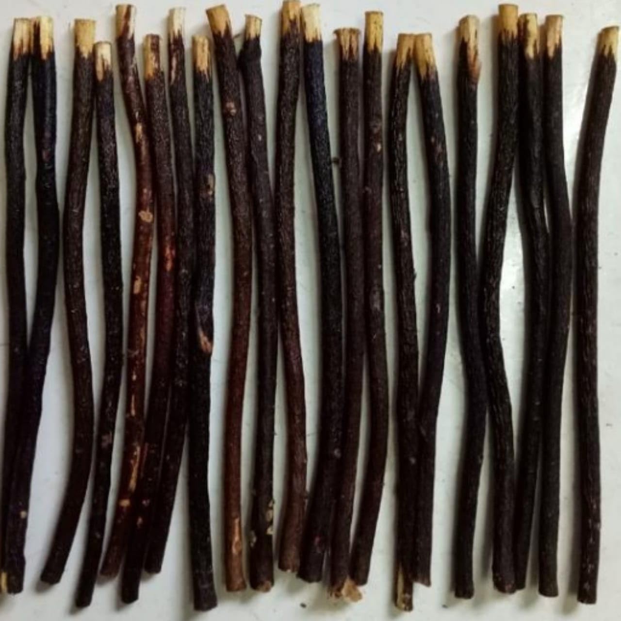 Weinbux Zaitoon Olive Herbal Miswak Natural Toothbrush Sticks | Organic Zaitoon Datun | Eco Friendly Chewing Sticks | Healthy Toothbrush | Manual | Pack of 6 - Image 3 thumbnail