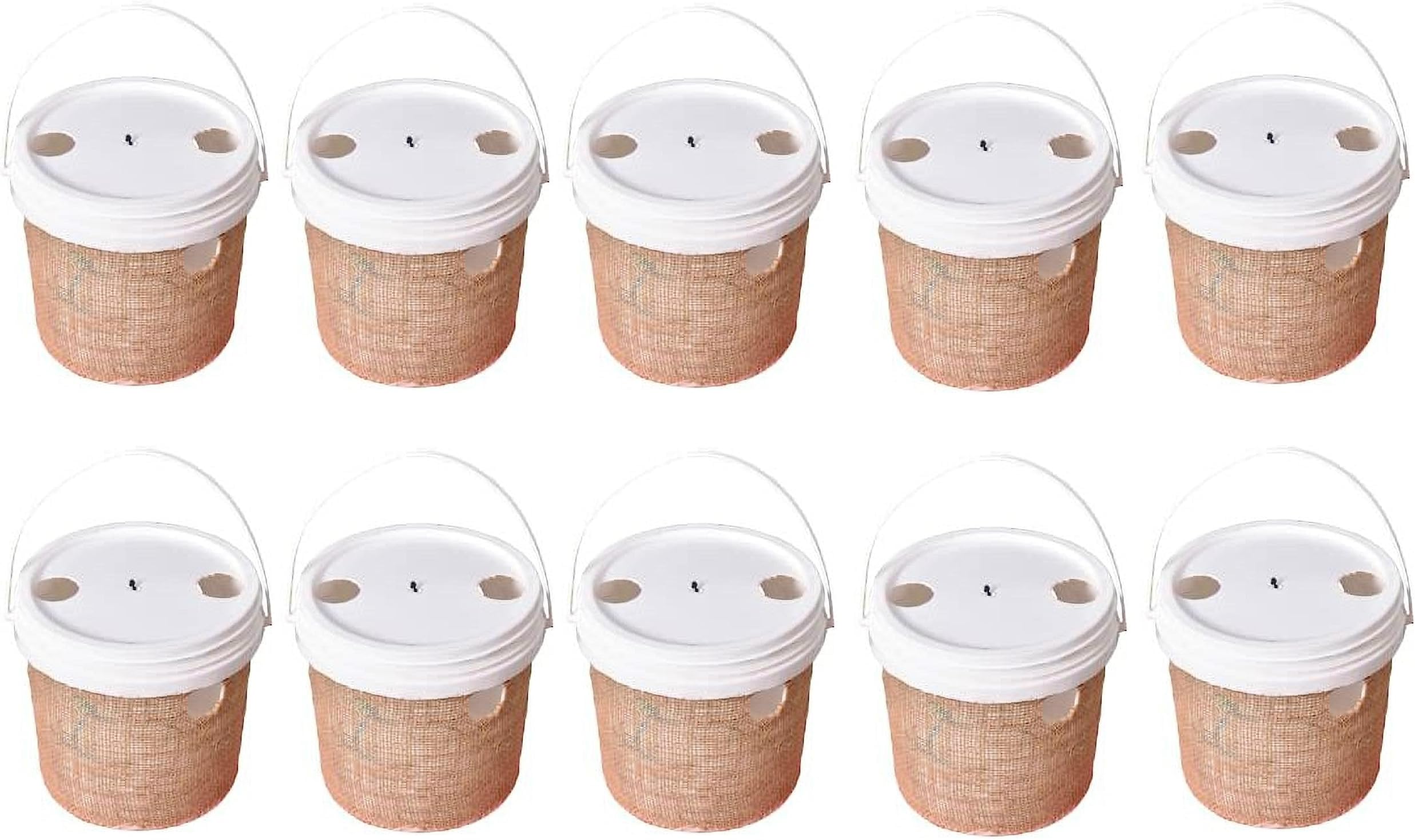 RED Palm Weevil Lure with Bucket Trap (Pack of 10)