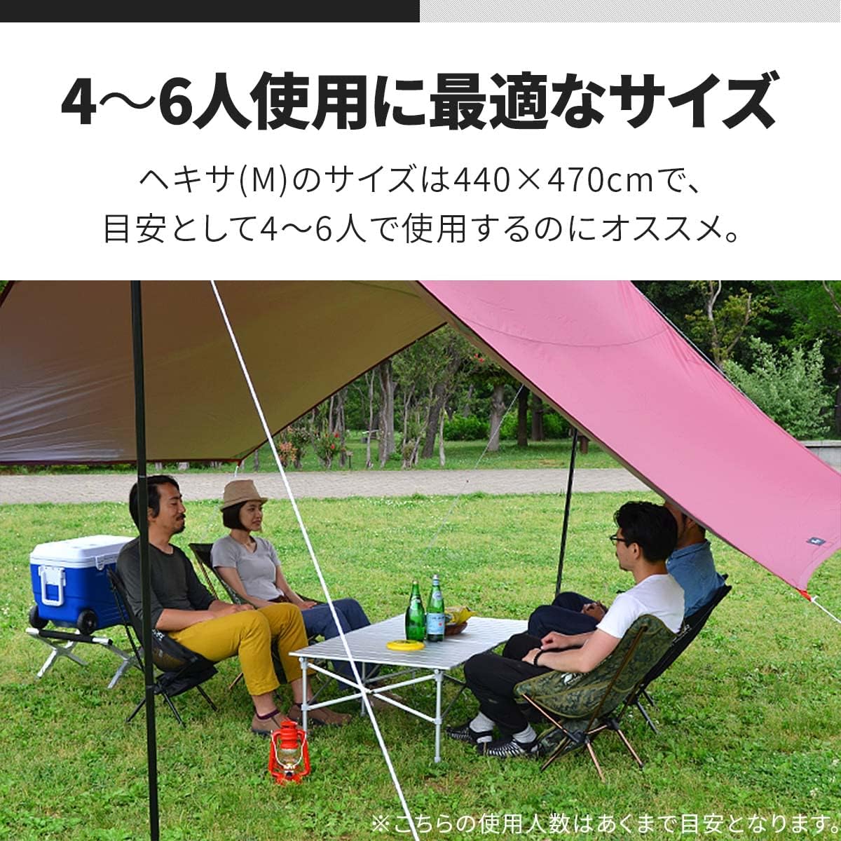 ヘキサ タープ Mサイズ 440×470cm ＆ スチールポール 直径25mmx2本【ブラック】 【浸水】 キャリーバッグ＋