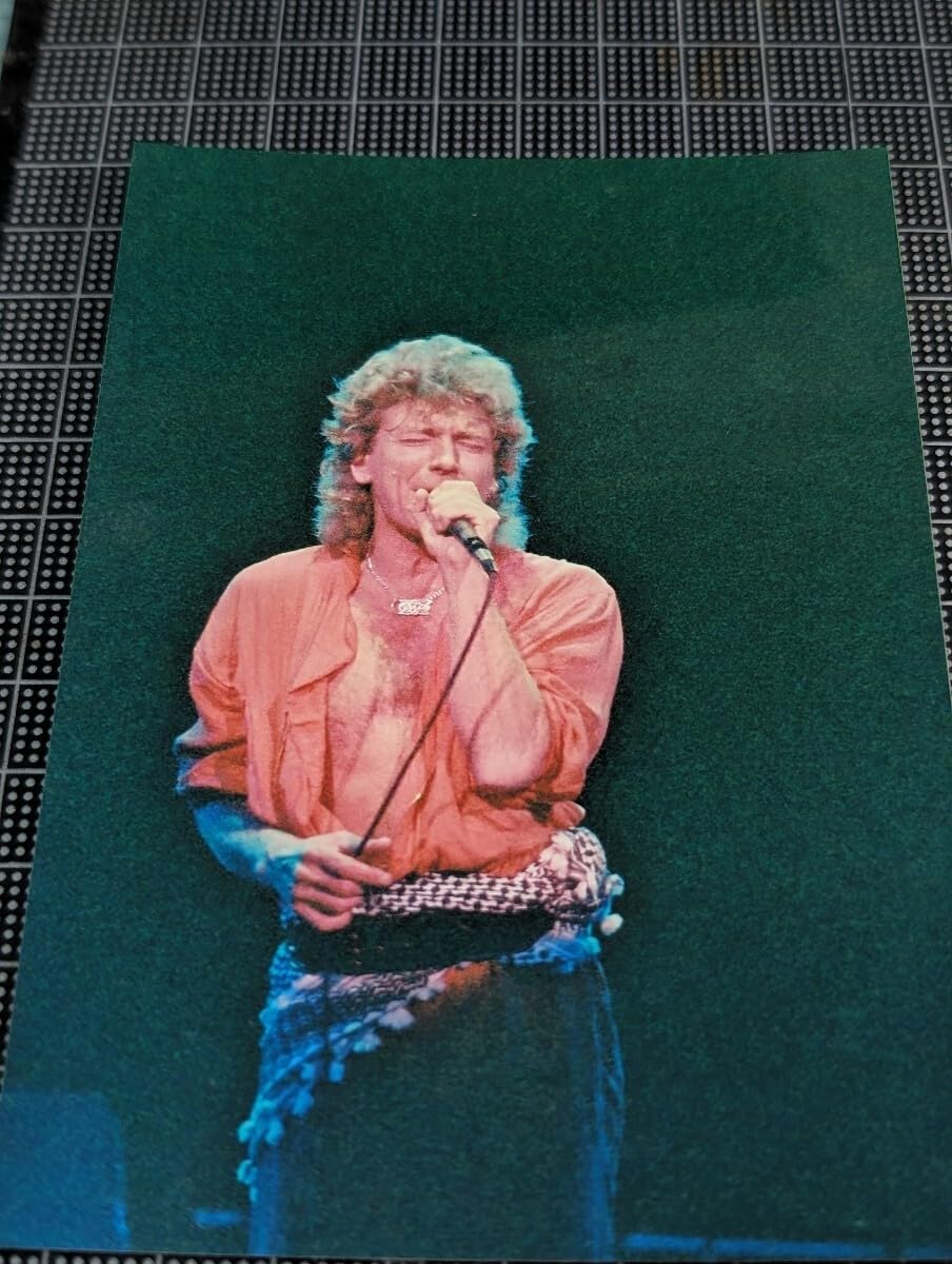 Amazon.co.jp: 1984年来日公演 ロバート・プラント ステージ写真