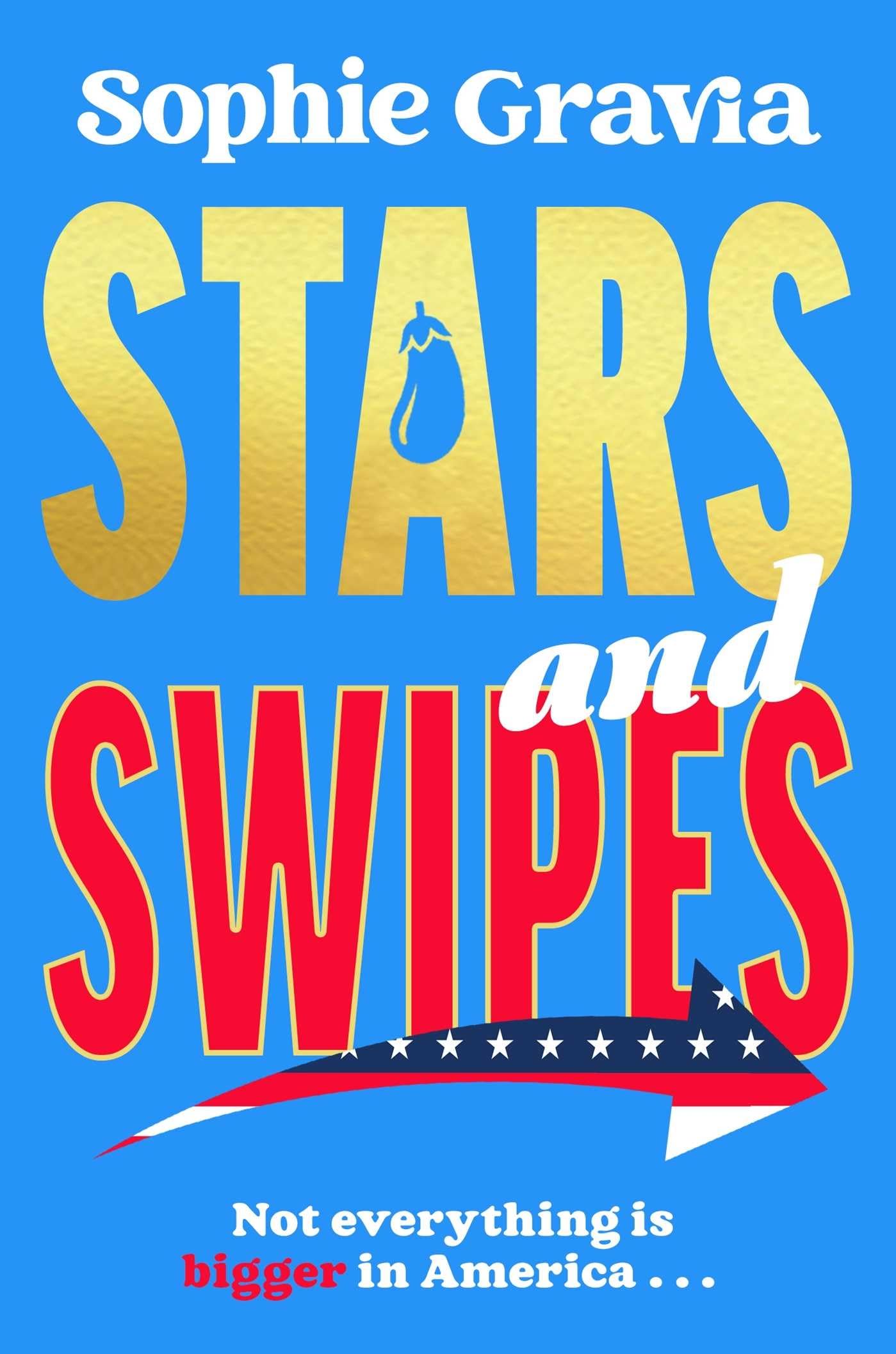 Stars and Swipes: A sizzling new beach read from the author of The D*cktionary Club and Hot Girl Summer