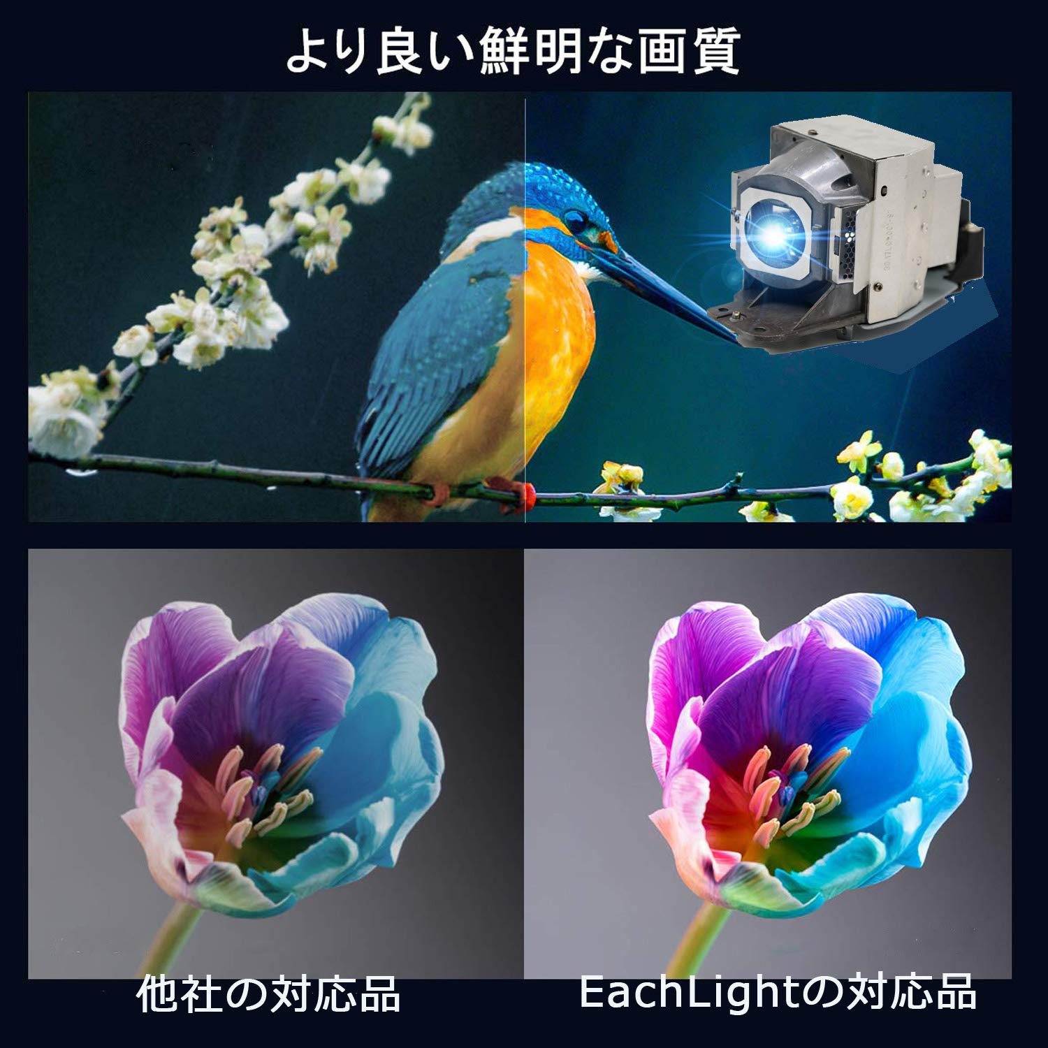 Amazon | EachLight プロジェクター 交換用 ランプ 5J.J7L05.001 Amazon | EachLight プロジェクター 交換用 ランプ 5J.J7L05.001