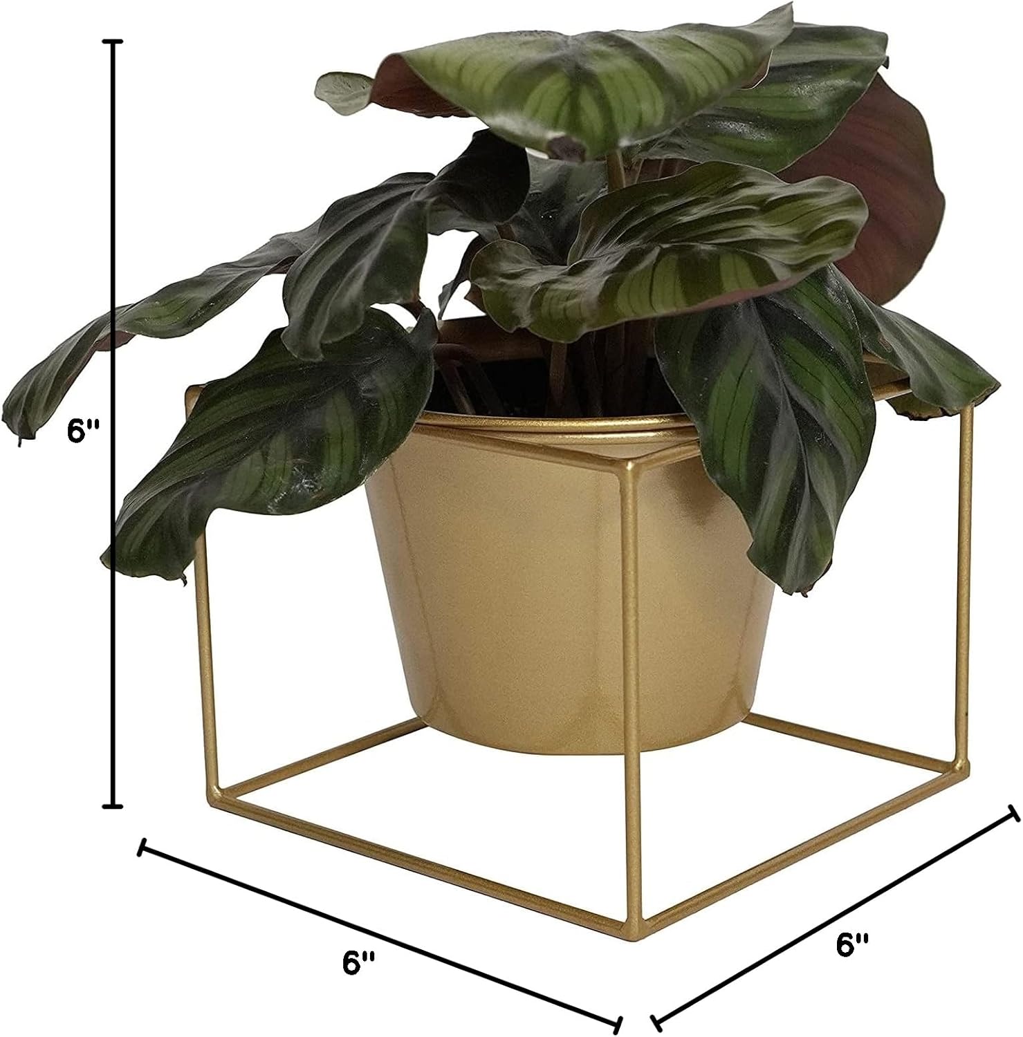 Metal Square 6" Home Garden Flower Plant Holder Removable Pot Stand, Gold 2 Pack