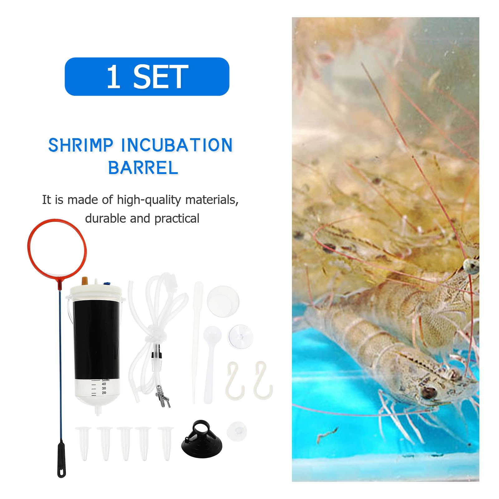 FRCOLOR 2 ensembles d'incubateur Artemia Crevettes Saumure Élevage de crevettes pour poissons Outils Artemia Œufs écloserie Poissons Écloserie Aquarium Plastique Crevettes Œufs