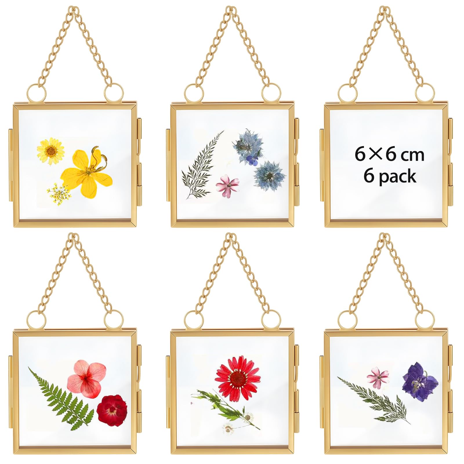 6 Pcs Hanging Photo Mini Frames, Double Sided Glass Pressed Flower Frame