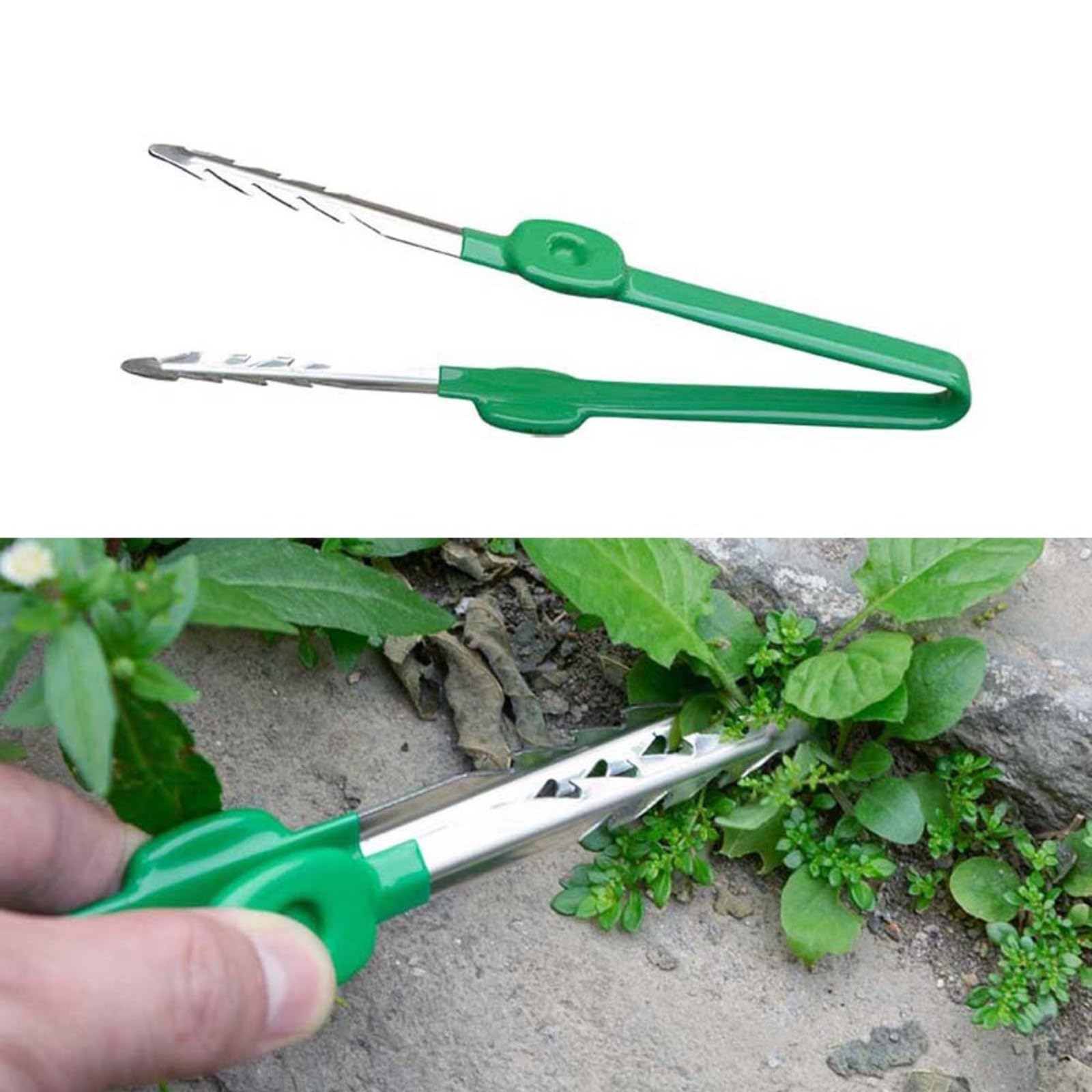 Pinzette per la cura delle piante grasse Clip portatile in acciaio inossidabile Strumento di giardinaggio multifunzionale per la manipolazione delle piante Lavoro accurato Uso educativo