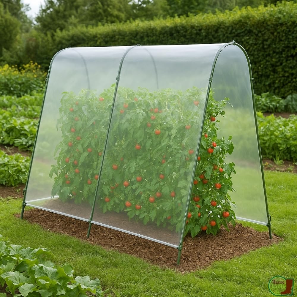 TERRE JARDIN Serre à tomates de Jardin 200x180x120 cm avec Film Plastique Haute résistance & arceaux Acier - Microclimat, Protection tomates Contre intempéries, idéale jardinière Tomate