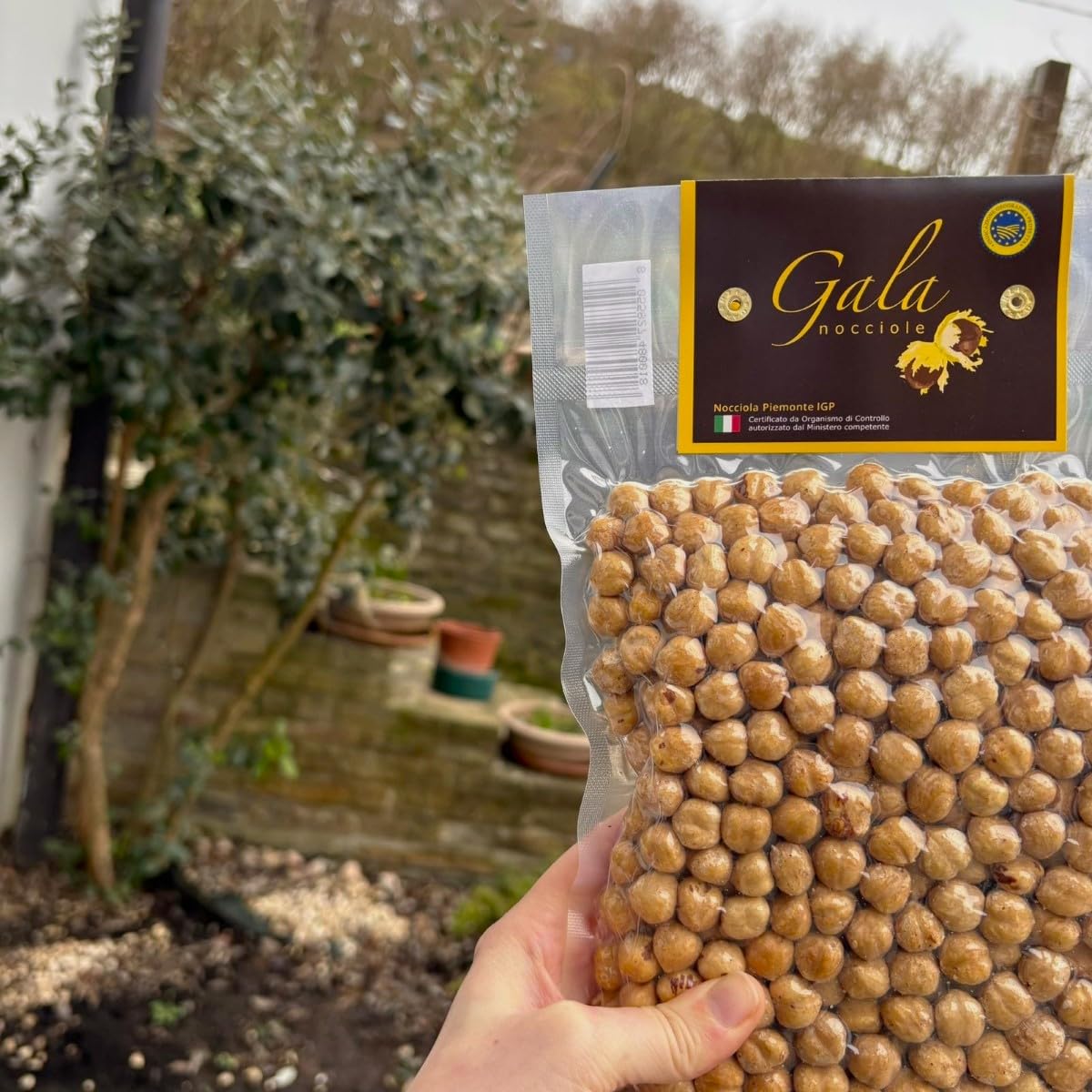 Gala Nocciole - Nocciole Piemonte IGP 500 g, Italiane Premium, Frutta Secca Naturale, Ricche di Gusto, Ideali per Dolci e Snack