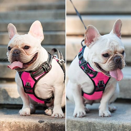 Miniatura 6 de PoyPet No Pull Dog Harness, No Choke Front Lead Dog Reflective Harness, Adjustable Soft Padded Pet Vest with Easy Control Handle for Small to Large