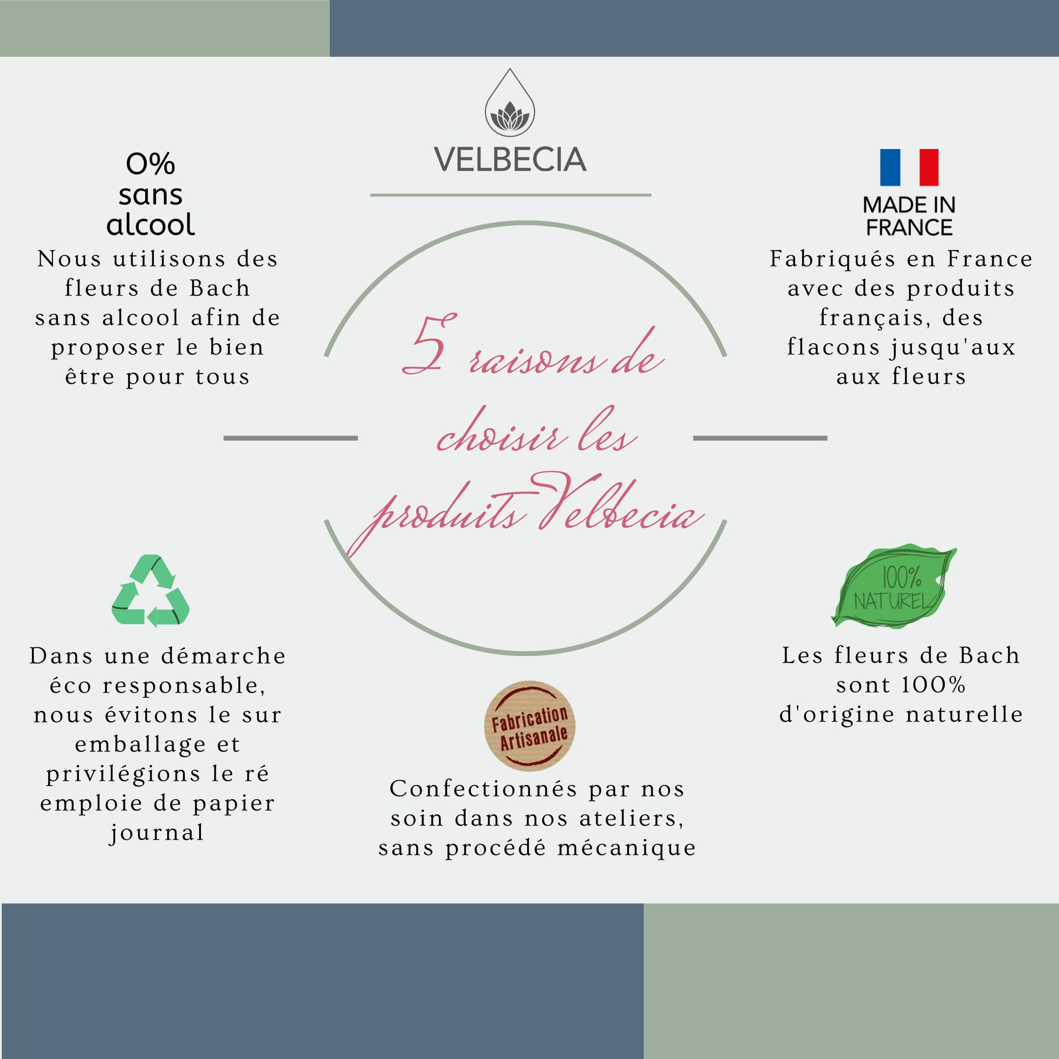 Velbecia® Perte de poids 50 ml +1 OFFERT Elixirs de fleurs - SANS ALCOOL - Méthode du Dr Bach - Gérer sa frustration, culpabilité, découragement, tentation, démotivation