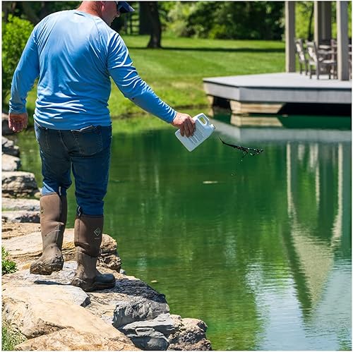 Miniatura 6 de Natural Waterscapes Tinte de estanque  Superconcentrado azul vivo  1 cuarto de galón trata 1 acre hasta 6 pies de profundidad, tinte azul verdadero
