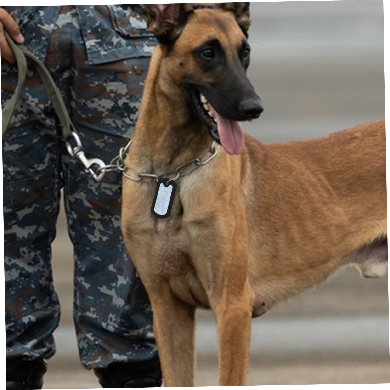 Set Da 10 Silenziatori In Silicone Per Targhette Di Cane | Forma Quadrata, Antirumore E Confortevoli | Coprigioco Per Piastrina Militare E Targhette Animali