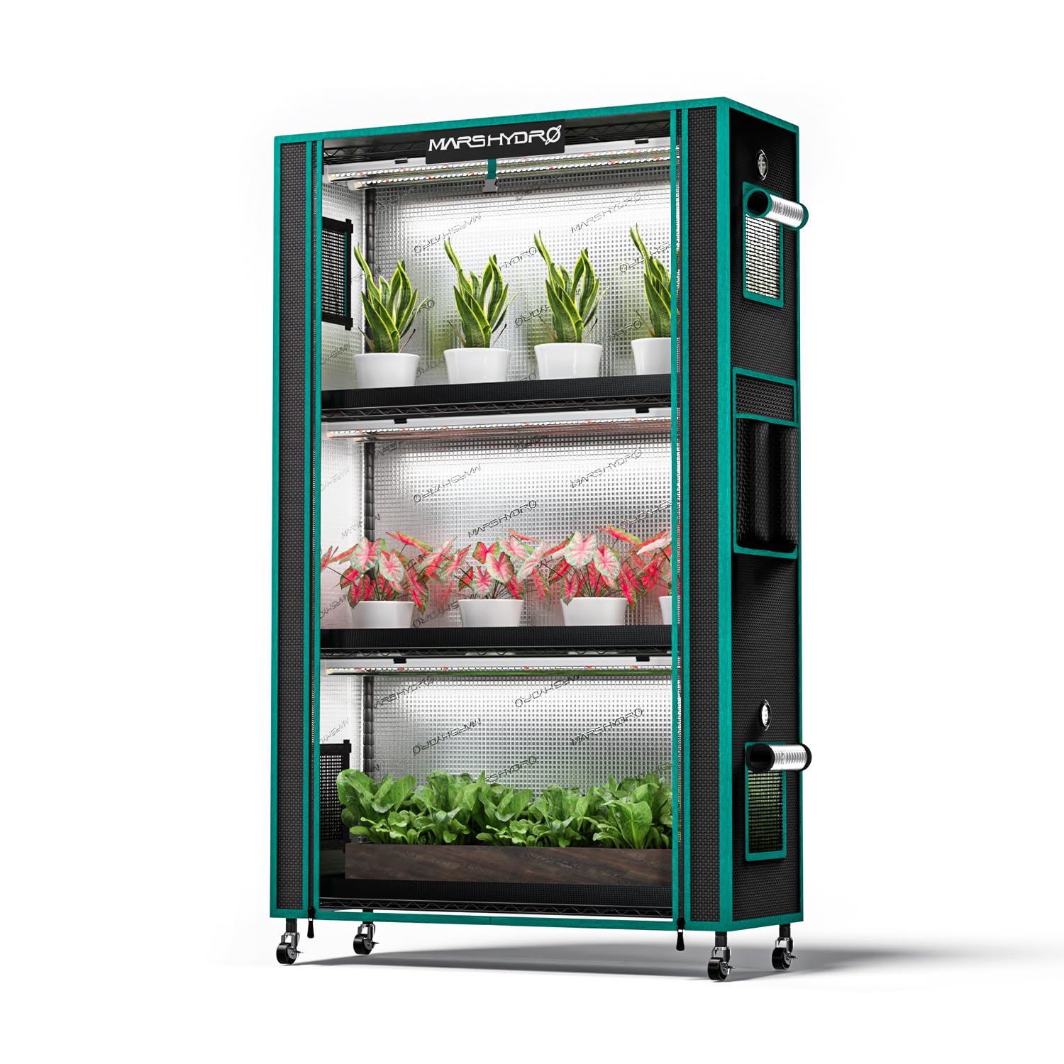MARS HYDRO 2025 Support pour plantes avec lumières de culture, étagère pour plantes à 4 niveaux avec 6 lampes LED à spectre complet (150 W, 3 pieds) et tente de culture pour légumes, semis