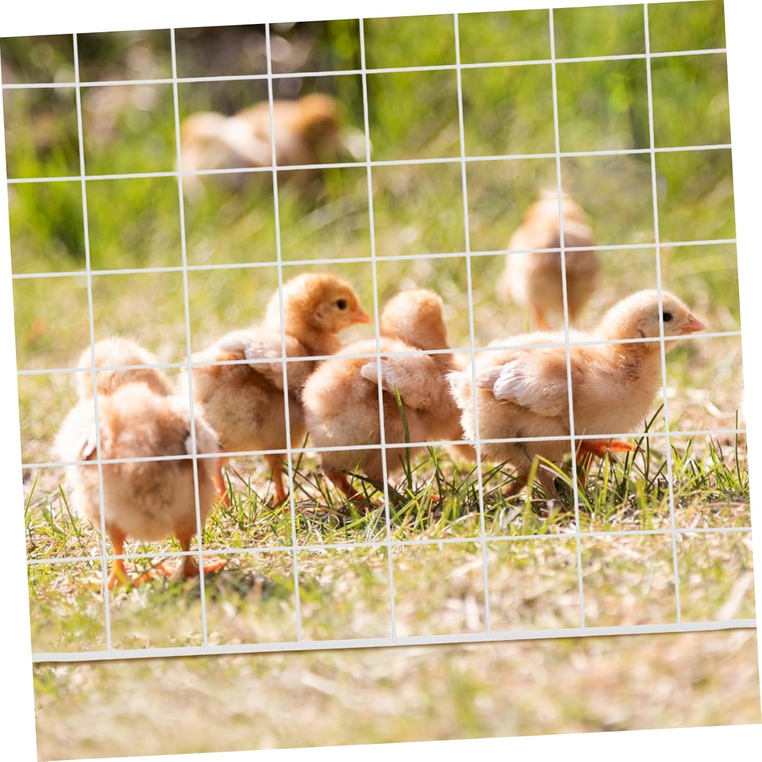 8pcs Pet Playpen for Small Animals Panel Indoor Metal Wire Fence for Guinea Pigs Rabbits Kittens Easy Setup with Buckles Durable White Design