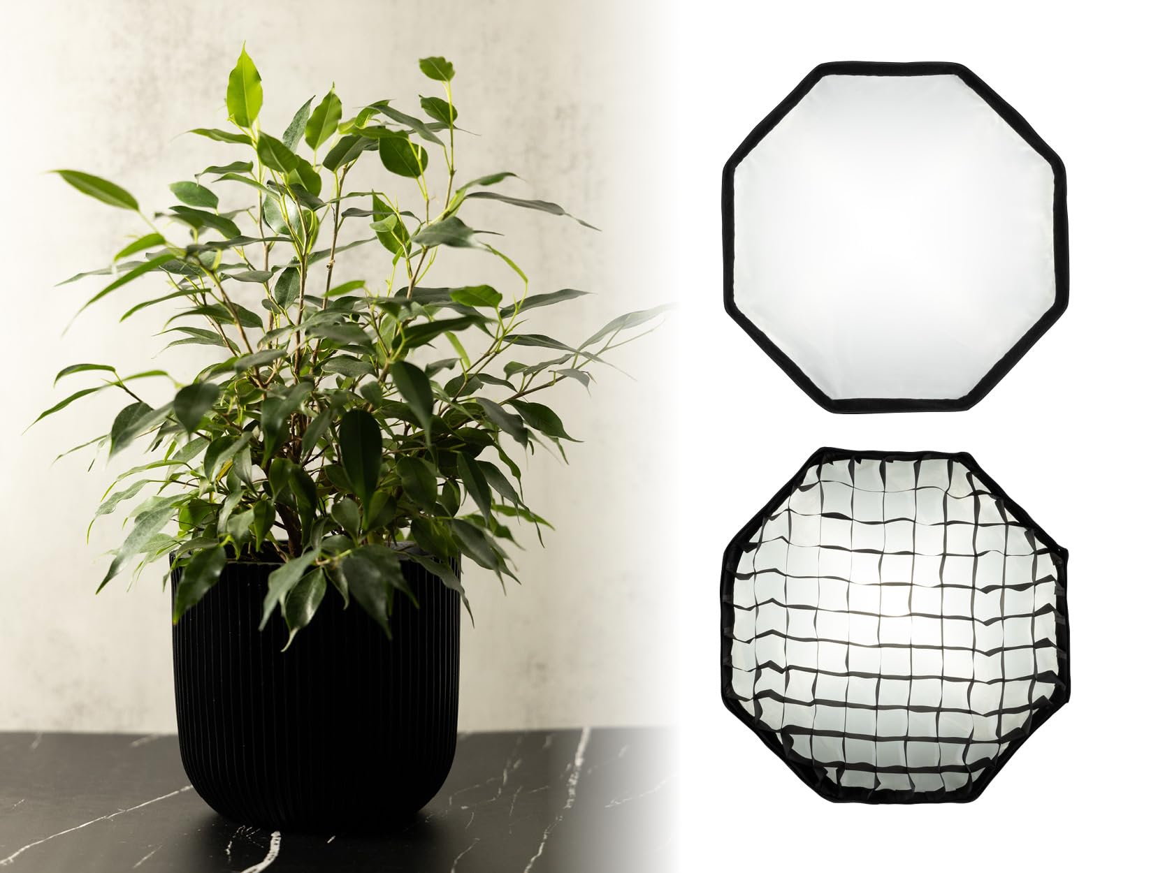 Rollei Softbox per flash a scatto, 50 cm, illuminazione perfetta, alta compatibilità, luce morbida, facile da montare, compatto e leggero, con diffusore e griglia