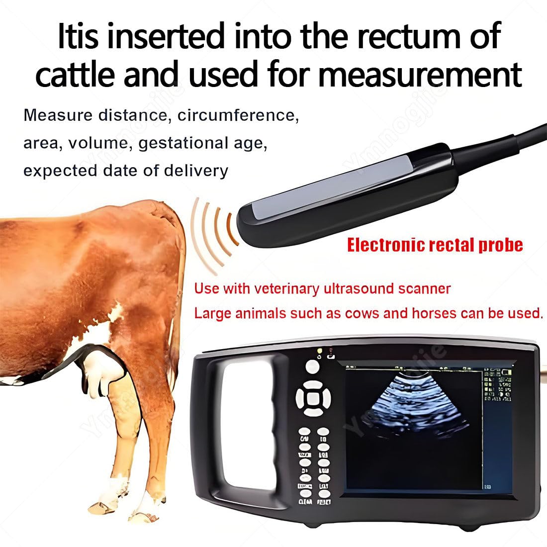 Kit Scanner Veterinario Ad,Macchina Portatile HD per Test Gravidanza B