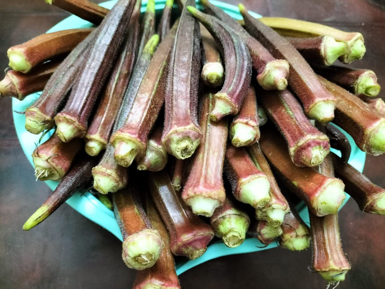 Red Bhindi/Okra Seeds for Home and Kitchen Gardening | 30 Seeds | Best in Germination | Free Growing Instruction Manual (B09MCRJKJF) Amazon Price History, Amazon Price Tracker