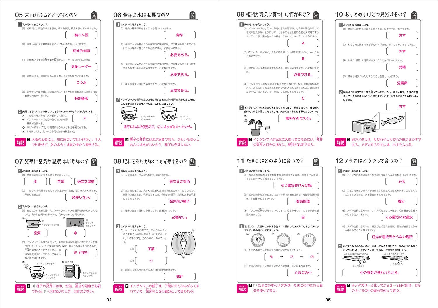 小５理科をひとつひとつわかりやすく 改訂版 小学ひとつひとつわかりやすく Books Amazon Ca