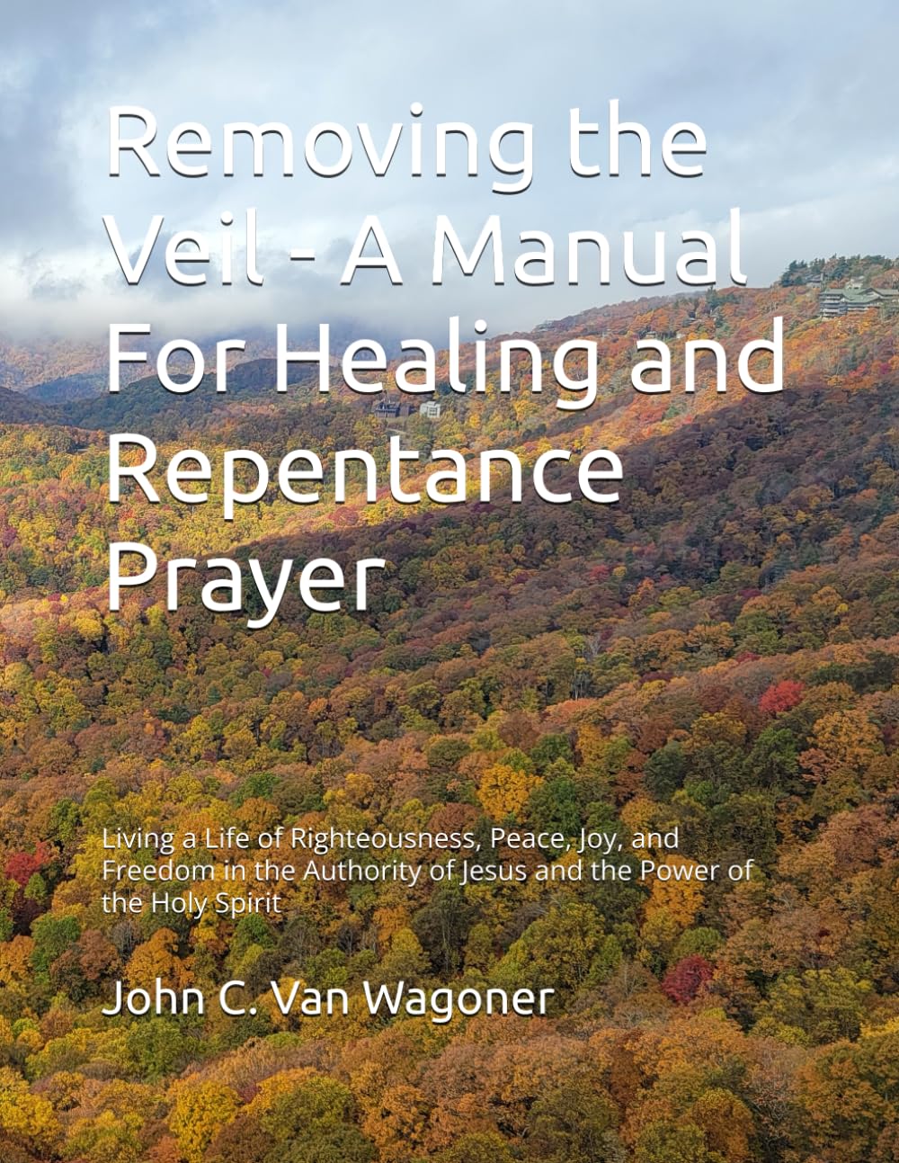 Removing the Veil - A Manual For Healing and Repentance Prayer: Living a Life of Righteousness, Peace, Joy, and Freedom in the Authority of Jesus and the Power of the Holy Spirit
