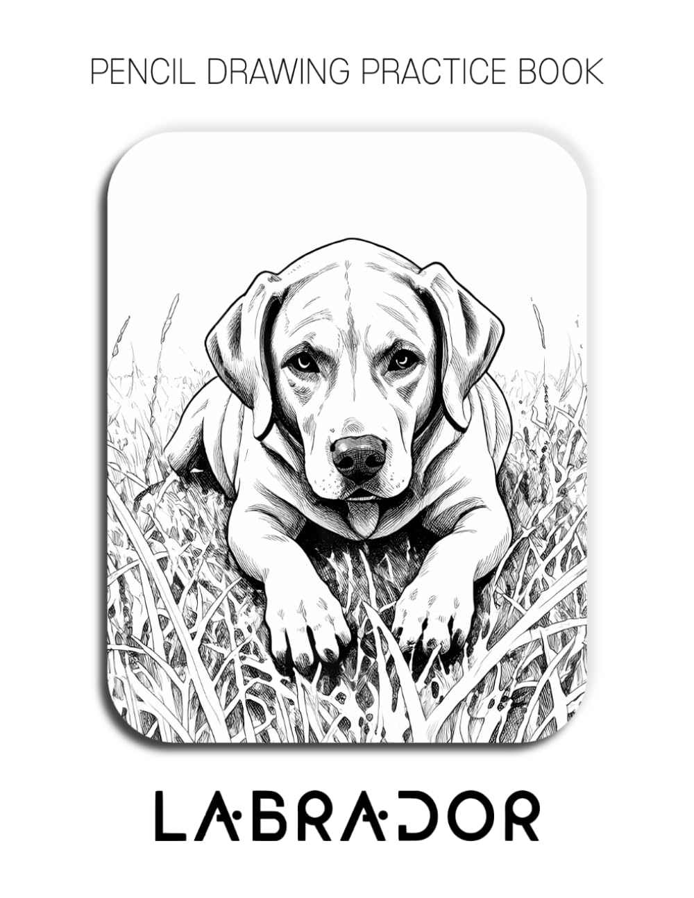Pencil Drawing Practice Book - Labrador: Mastering Canine Anatomy, Top-Down Perspectives, and Advanced Graphite Textures