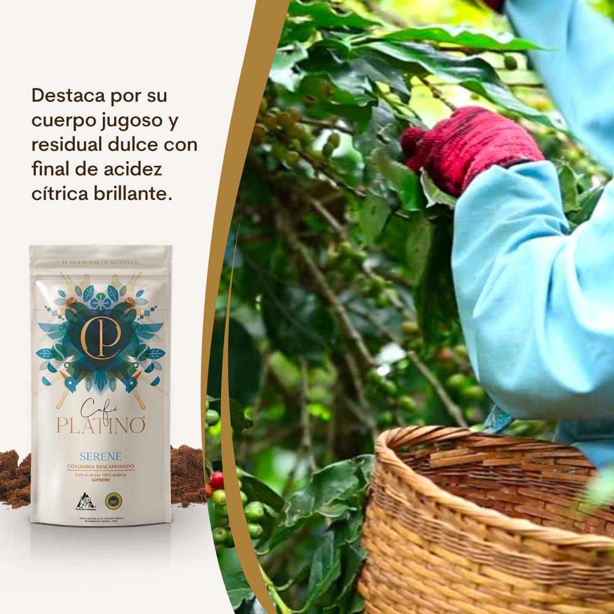 Café Platino Serene - Pack 2 sobres de 250g - Café Gourmet Molido Descafeinado de Colombia Supremo - 100% Arábica