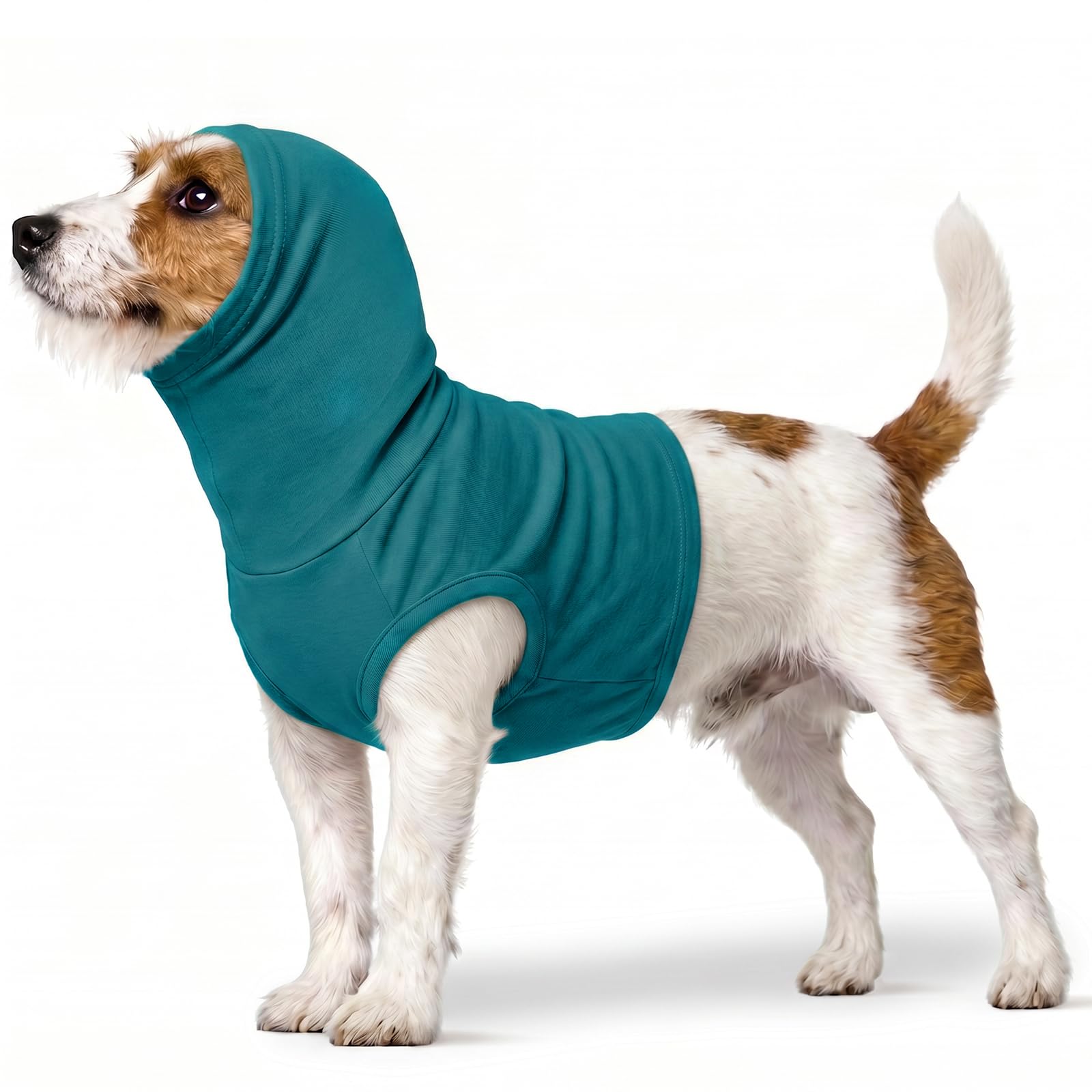 PUMYPOREITY Cat Neck Protection, Neck Cover Vest Cat Scarf To Stop Scratching, Protection For Neck-Surgery, Surgical Cover After Cyst Removal On-Neck(Turquoise, S) — image 1