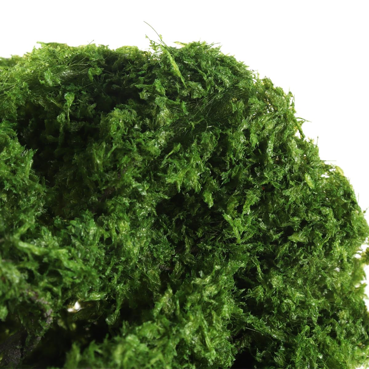 Cocotier Led Artificiel Avec Éclairage Led,Usb,Réaliste,En Extérieur