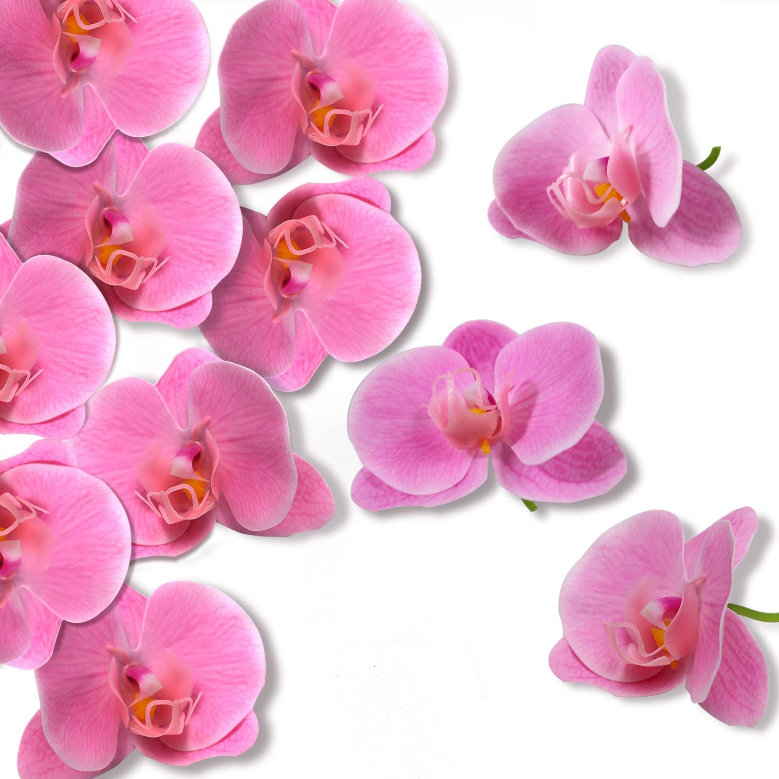 MAKINGTEC 20 PCS Orchid Petals Artificial Decorations Orchids Heads Flowers Faux Silk Phalaenopsis Butterfly Flower Heads for DIY Craft Home Wedding Party, Pink