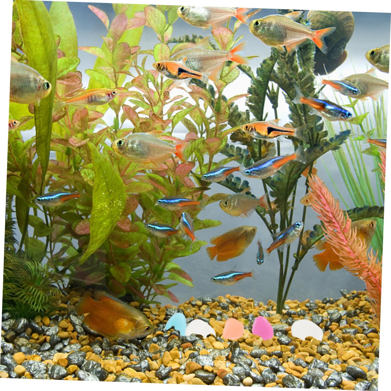 YARNOW 3 Ensembles Cailloux Lumineux Decoration Jardin Décoration Jardin Décoration De Jardin Décorations D'aquarium Qui Brillent Dans Roches D'aquarium Résine 200 Pièces * 3