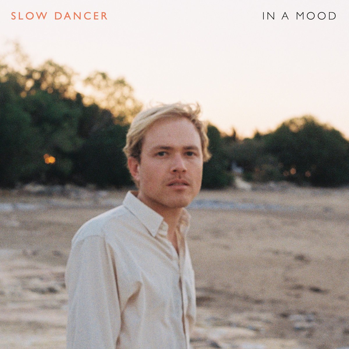In A Mood [VINYL]