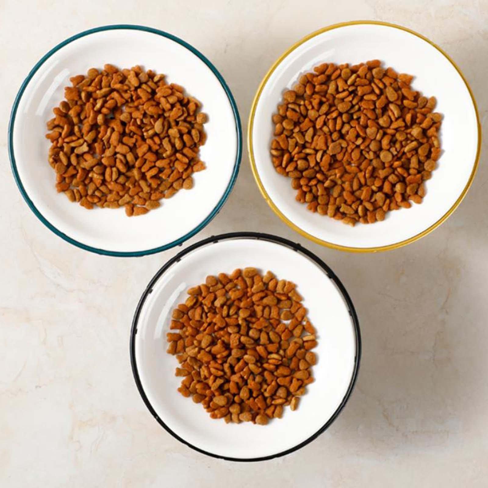 THE STYLE SUTRA Pet Ceramic Bowl Pet Food Water Bowl Cat Food Bowl Cat Elevated Feeder Fish Print Plate | Dishes | Dog Supplies (B0C4PMSJSZ) Amazon Price History, Amazon Price Tracker