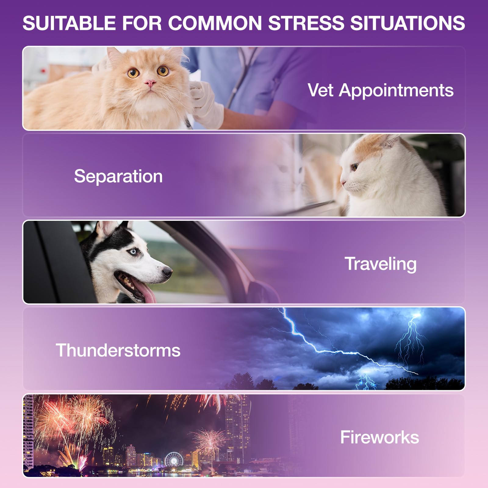 Melatonina para Perros y Gatos 120 ml, Calmante Natural para Mascotas, Ayuda para Dormir y Relajarse, Reduce Estrés, Nerviosismo y Ansiedad,Suplemento Líquido de Absorción Rápida para Bienestar Animal